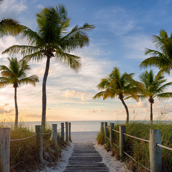 Tampa Trailers for Sale